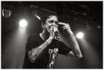 Lou Koller live, 2016