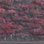 SLEEP TOKEN streamen neues Album "Even In Arcadia"