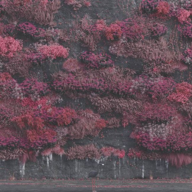 SLEEP TOKEN streamen neues Album "Even In Arcadia"