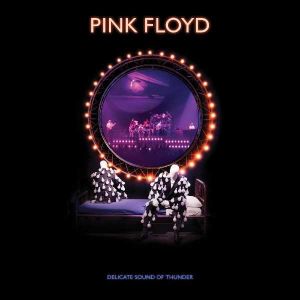 Pink Floyd - A Delicate Sound Of Thunder (Remix 2019) (2CD)