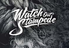 Watch Out Stampede - Tides
