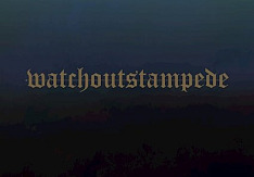 Watch Out Stampede - Northern Lights