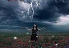 V.A. - Ferocity and Femininity