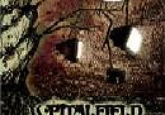 Spitalfield - Stop Doing Bad Things Review