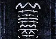 Ray Wilson & Stiltskin - She Review