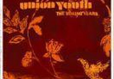 Union Youth - The Boring Years Review