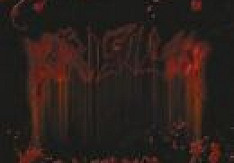 Krisiun - Bloodshed Review